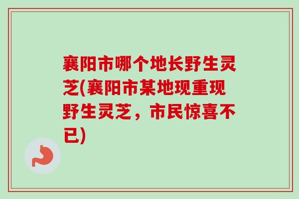 襄阳市哪个地长野生灵芝(襄阳市某地现重现野生灵芝，市民惊喜不已)