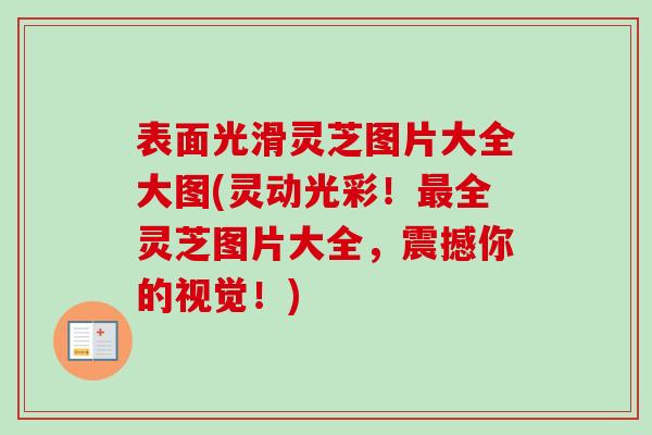 表面光滑灵芝图片大全大图(灵动光彩!全灵芝图片大全,震撼你的视觉!) 表面光滑灵芝图片大全大图(灵动光彩!全灵芝图片大全,震撼你的视觉!)
