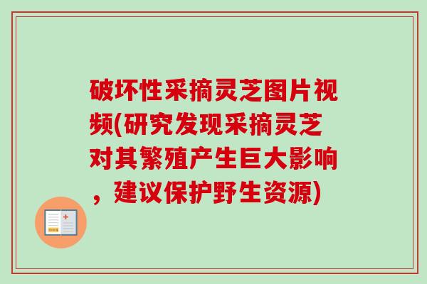 破坏性采摘灵芝图片视频(研究发现采摘灵芝对其繁殖产生巨大影响，建议保护野生资源)