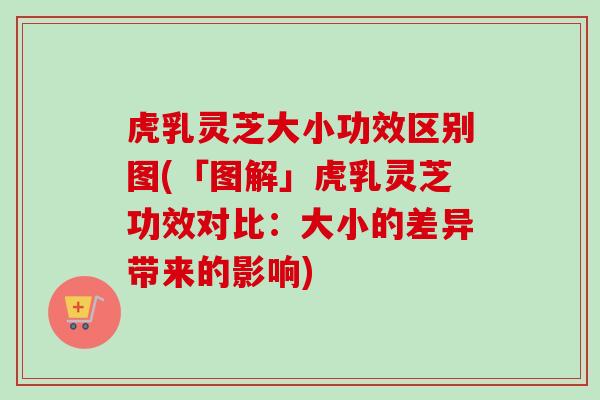 虎乳灵芝大小功效区别图(「图解」虎乳灵芝功效对比:大小的差异带来的影响) 虎乳灵芝大小功效区别图(「图解」虎乳灵芝功效对比:大小的差异带来的影响)