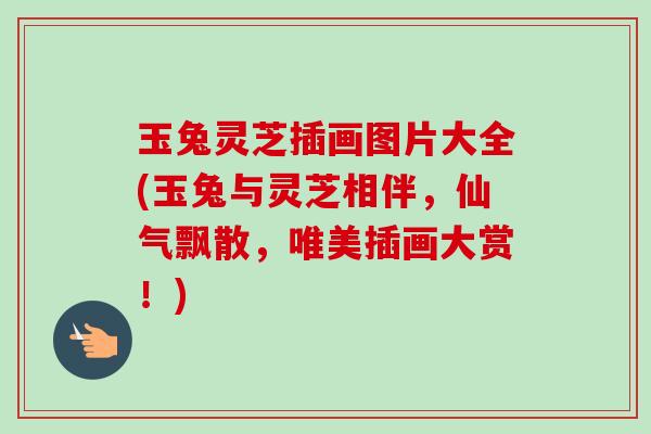 玉兔灵芝插画图片大全(玉兔与灵芝相伴，仙气飘散，唯美插画大赏！)