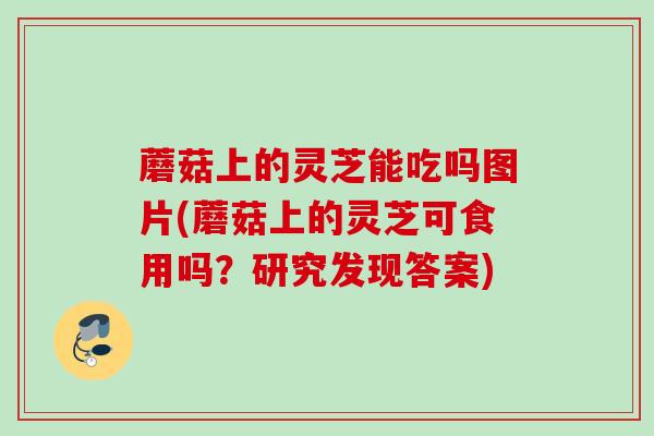 蘑菇上的灵芝能吃吗图片(蘑菇上的灵芝可食用吗？研究发现答案)