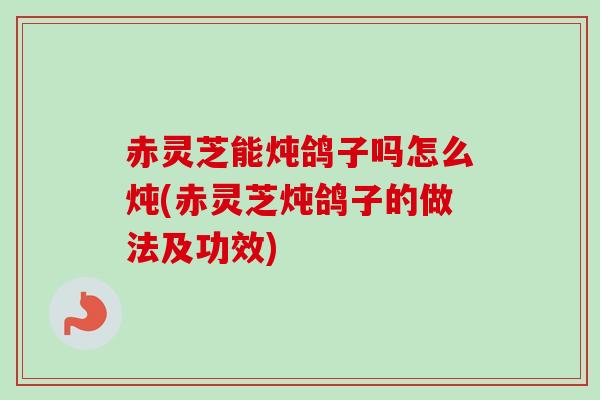 赤灵芝能炖鸽子吗怎么炖(赤灵芝炖鸽子的做法及功效)