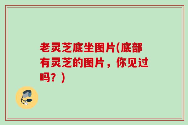 老灵芝底坐图片(底部有灵芝的图片,你见过吗?) 老灵芝底坐图片(底部有灵芝的图片,你见过吗?)