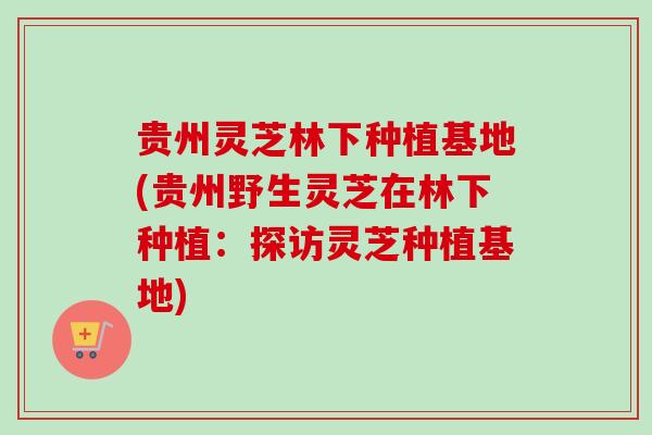 贵州灵芝林下种植基地(贵州野生灵芝在林下种植:探访灵芝种植基地) 贵州灵芝林下种植基地(贵州野生灵芝在林下种植:探访灵芝种植基地)