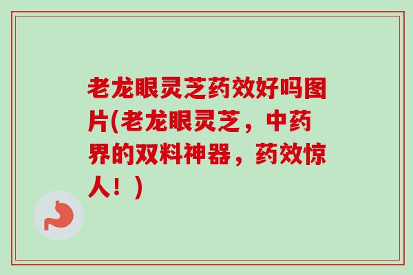 老龙眼灵芝好吗图片(老龙眼灵芝,界的双料神器,惊人!) 老龙眼灵芝好吗图片(老龙眼灵芝,界的双料神器,惊人!)