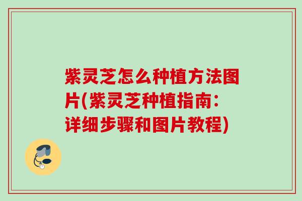 紫灵芝怎么种植方法图片(紫灵芝种植指南:详细步骤和图片教程) 紫灵芝怎么种植方法图片(紫灵芝种植指南:详细步骤和图片教程)