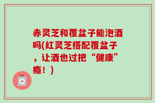赤灵芝和覆盆子能泡酒吗(红灵芝搭配覆盆子,让酒也过把“健康”瘾!) 赤灵芝和覆盆子能泡酒吗(红灵芝搭配覆盆子,让酒也过把“健康”瘾!)