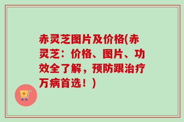 赤灵芝图片及价格(赤灵芝:价格、图片、功效全了解,跟万首选!) 赤灵芝图片及价格(赤灵芝:价格、图片、功效全了解,跟万首选!)
