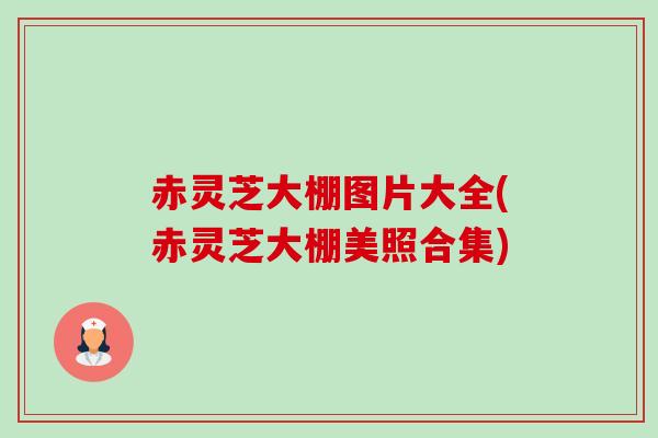 赤灵芝大棚图片大全(赤灵芝大棚美照合集)