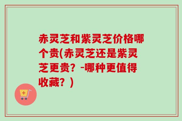 赤灵芝和紫灵芝价格哪个贵(赤灵芝还是紫灵芝更贵?-哪种更值得收藏?) 赤灵芝和紫灵芝价格哪个贵(赤灵芝还是紫灵芝更贵?-哪种更值得收藏?)