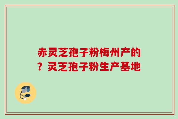 赤灵芝孢子粉梅州产的？灵芝孢子粉生产基地