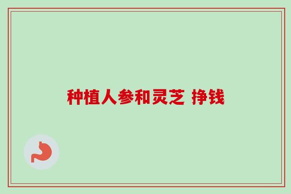 种植人参和灵芝 挣钱