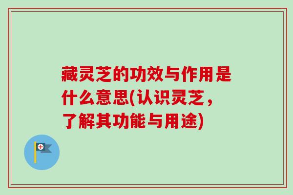 藏灵芝的功效与作用是什么意思(认识灵芝,了解其功能与用途) 藏灵芝的功效与作用是什么意思(认识灵芝,了解其功能与用途)