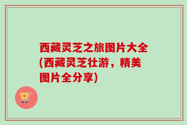 西藏灵芝之旅图片大全(西藏灵芝壮游,精美图片全分享) 西藏灵芝之旅图片大全(西藏灵芝壮游,精美图片全分享)