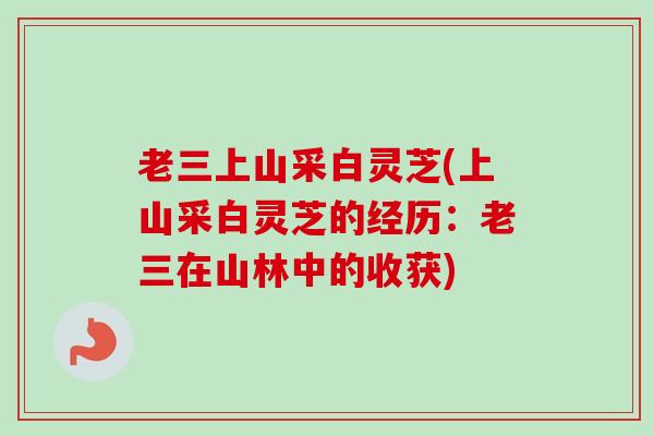 老三上山采白灵芝(上山采白灵芝的经历:老三在山林中的收获) 老三上山采白灵芝(上山采白灵芝的经历:老三在山林中的收获)