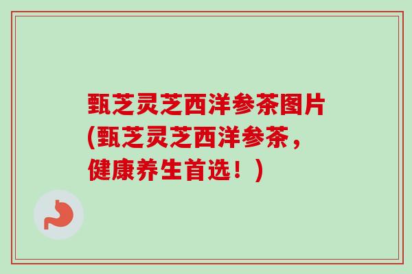 甄芝灵芝西洋参茶图片(甄芝灵芝西洋参茶，健康养生首选！)
