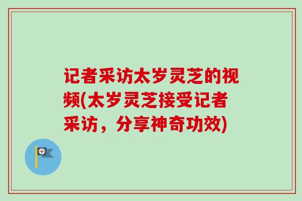 记者采访太岁灵芝的视频(太岁灵芝接受记者采访,分享神奇功效) 记者采访太岁灵芝的视频(太岁灵芝接受记者采访,分享神奇功效)