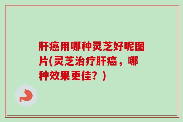 用哪种灵芝好呢图片(灵芝,哪种效果更佳?) 用哪种灵芝好呢图片(灵芝,哪种效果更佳?)