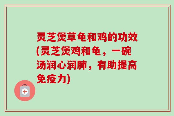 灵芝煲草龟和鸡的功效(灵芝煲鸡和龟,一碗汤润心润,有助提高免疫力) 灵芝煲草龟和鸡的功效(灵芝煲鸡和龟,一碗汤润心润,有助提高免疫力)