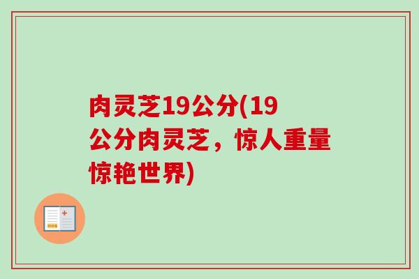 肉灵芝19公分(19公分肉灵芝，惊人重量惊艳世界)