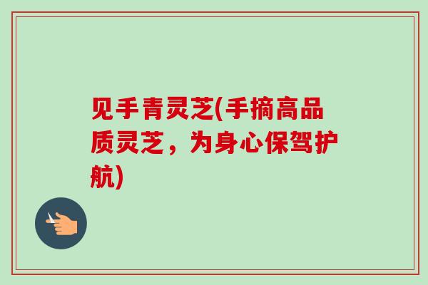 见手青灵芝(手摘高品质灵芝，为身心保驾护航)