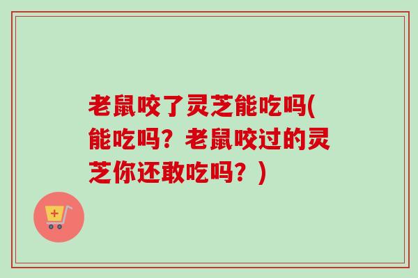 老鼠咬了灵芝能吃吗(能吃吗？老鼠咬过的灵芝你还敢吃吗？)
