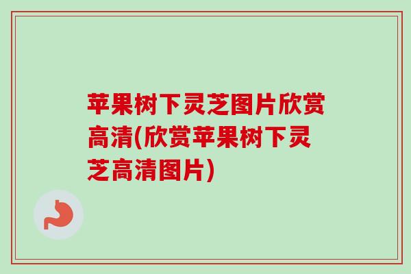 苹果树下灵芝图片欣赏高清(欣赏苹果树下灵芝高清图片) 苹果树下灵芝图片欣赏高清(欣赏苹果树下灵芝高清图片)
