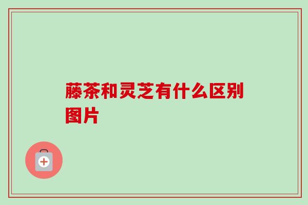 藤茶和灵芝有什么区别图片 藤茶和灵芝有什么区别图片