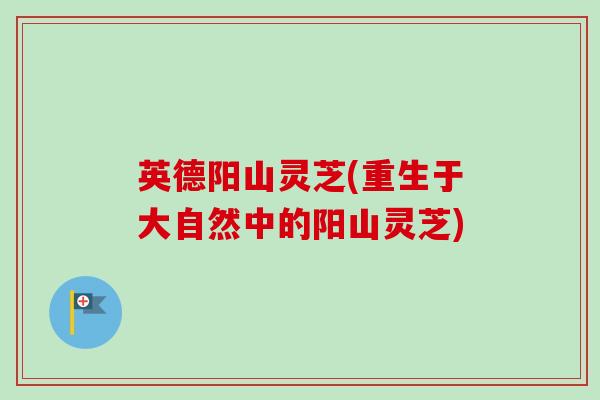 英德阳山灵芝(重生于大自然中的阳山灵芝) 英德阳山灵芝(重生于大自然中的阳山灵芝)