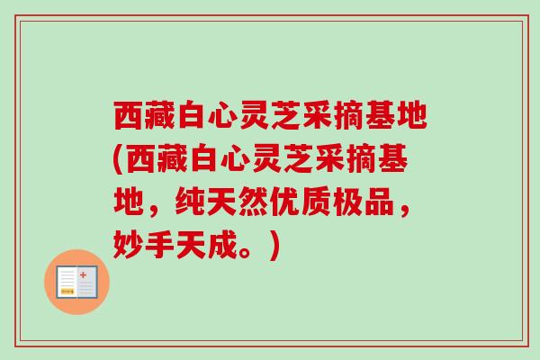 西藏白心灵芝采摘基地(西藏白心灵芝采摘基地,纯天然优质极品,妙手天成。) 西藏白心灵芝采摘基地(西藏白心灵芝采摘基地,纯天然优质极品,妙手天成。)