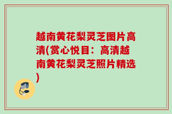 越南黄花梨灵芝图片高清(赏心悦目:高清越南黄花梨灵芝照片精选) 越南黄花梨灵芝图片高清(赏心悦目:高清越南黄花梨灵芝照片精选)