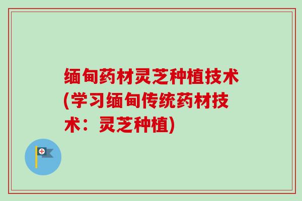 缅甸药材灵芝种植技术(学习缅甸传统药材技术：灵芝种植)