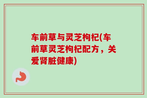 车前草与灵芝枸杞(车前草灵芝枸杞配方，关爱脏健康)