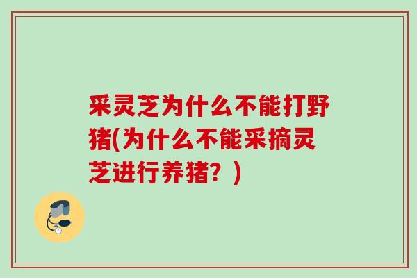 采灵芝为什么不能打野猪(为什么不能采摘灵芝进行养猪？)