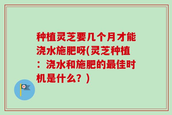 种植灵芝要几个月才能浇水施肥呀(灵芝种植:浇水和施肥的佳时机是什么?) 种植灵芝要几个月才能浇水施肥呀(灵芝种植:浇水和施肥的佳时机是什么?)