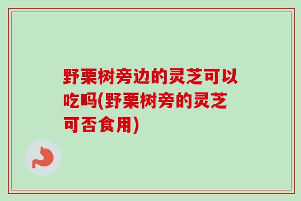 野栗树旁边的灵芝可以吃吗(野栗树旁的灵芝可否食用) 野栗树旁边的灵芝可以吃吗(野栗树旁的灵芝可否食用)