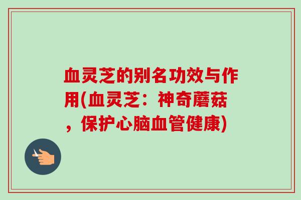 灵芝的别名功效与作用(灵芝:神奇蘑菇,保护健康) 灵芝的别名功效与作用(灵芝:神奇蘑菇,保护健康)