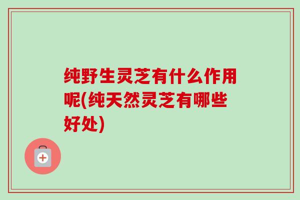 纯野生灵芝有什么作用呢(纯天然灵芝有哪些好处)