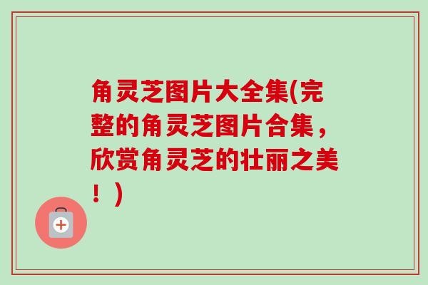 角灵芝图片大全集(完整的角灵芝图片合集,欣赏角灵芝的壮丽之美!) 角灵芝图片大全集(完整的角灵芝图片合集,欣赏角灵芝的壮丽之美!)