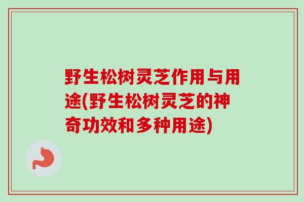 野生松树灵芝作用与用途(野生松树灵芝的神奇功效和多种用途)