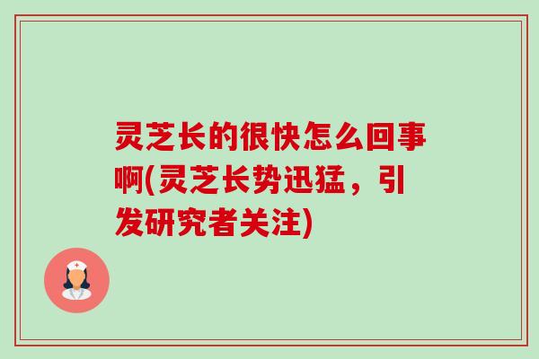 灵芝长的很快怎么回事啊(灵芝长势迅猛,引发研究者关注) 灵芝长的很快怎么回事啊(灵芝长势迅猛,引发研究者关注)