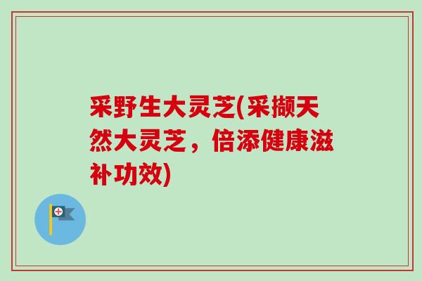 采野生大灵芝(采撷天然大灵芝,倍添健康滋补功效) 采野生大灵芝(采撷天然大灵芝,倍添健康滋补功效)