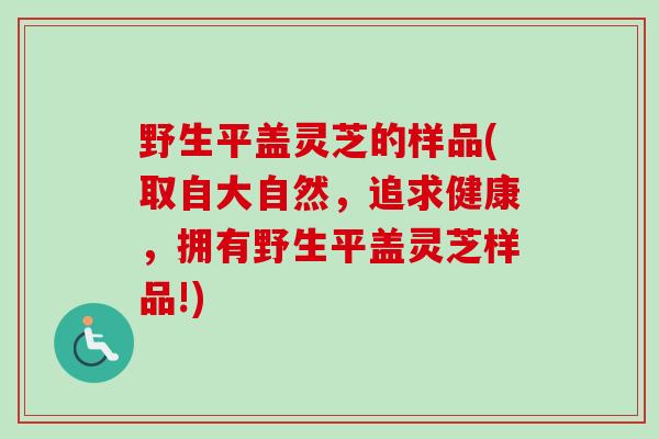 野生平盖灵芝的样品(取自大自然,追求健康,拥有野生平盖灵芝样品!) 野生平盖灵芝的样品(取自大自然,追求健康,拥有野生平盖灵芝样品!)