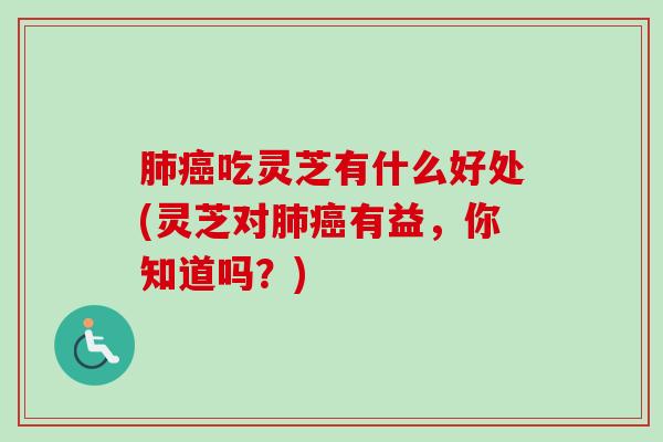 吃灵芝有什么好处(灵芝对有益，你知道吗？)