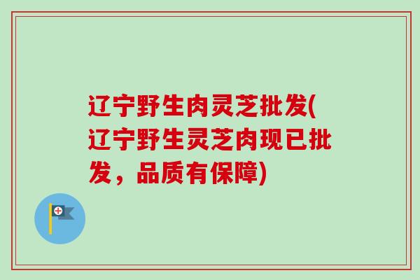 辽宁野生肉灵芝批发(辽宁野生灵芝肉现已批发,品质有保障) 辽宁野生肉灵芝批发(辽宁野生灵芝肉现已批发,品质有保障)