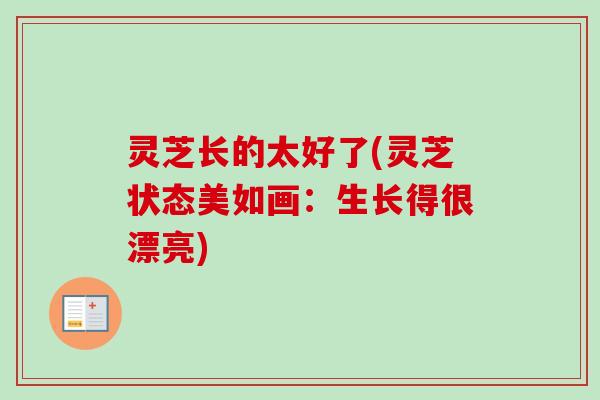 灵芝长的太好了(灵芝状态美如画:生长得很漂亮) 灵芝长的太好了(灵芝状态美如画:生长得很漂亮)