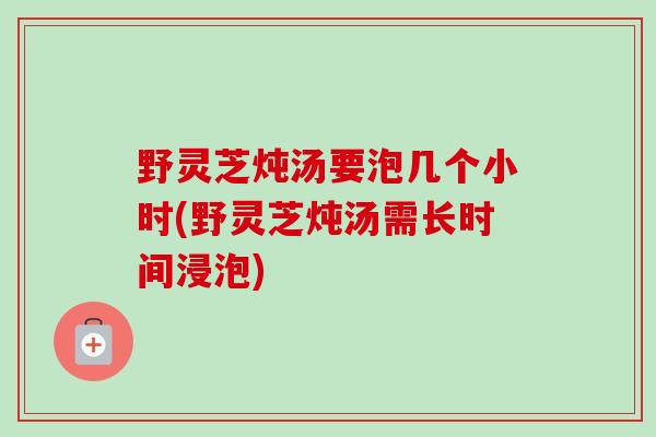 野灵芝炖汤要泡几个小时(野灵芝炖汤需长时间浸泡)