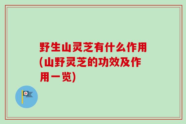 野生山灵芝有什么作用(山野灵芝的功效及作用一览) 野生山灵芝有什么作用(山野灵芝的功效及作用一览)
