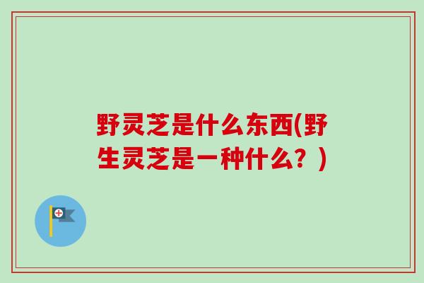 野灵芝是什么东西(野生灵芝是一种什么?) 野灵芝是什么东西(野生灵芝是一种什么?)
